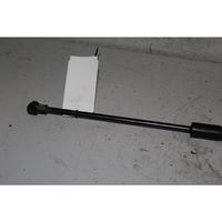 Opel Antara Rear window strut damper 