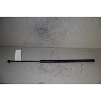 Opel Antara Rear window strut damper 