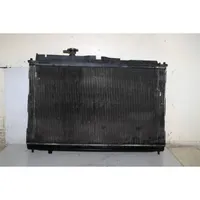 Hyundai Santa Fe Heater blower radiator 