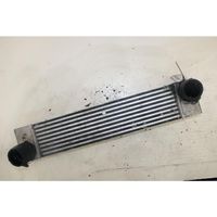 Land Rover Range Rover L322 Radiador intercooler 