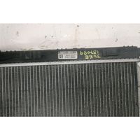 Nissan Juke I F15 Radiateur de chauffage 