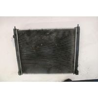 Nissan Juke I F15 Radiateur de chauffage 