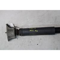 Volvo C30 Rear shock absorber with coil spring 