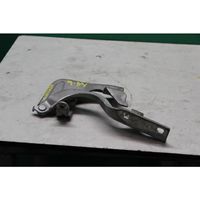 Opel Antara Engine bonnet/hood hinges 