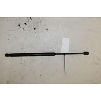 Fiat Punto (188) Rear window strut damper 