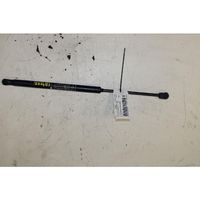 Fiat Punto (188) Rear window strut damper 