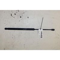 Fiat Punto (188) Rear window strut damper 