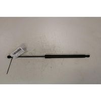 Dacia Lodgy Rear window strut damper 