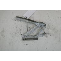 Volkswagen Eos Engine bonnet/hood hinges 