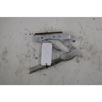 Volkswagen Eos Engine bonnet/hood hinges 