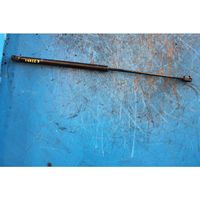 Ford Courier Rear window strut damper 