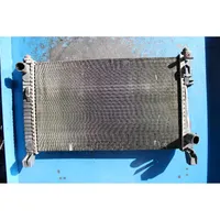 Mercedes-Benz A W169 Radiateur de chauffage 