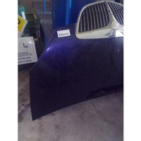 Lancia Musa Engine bonnet/hood 