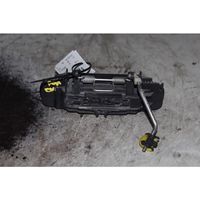 Audi A4 S4 B7 8E 8H Maniglia esterna per portiera posteriore 