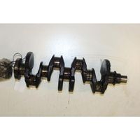 Citroen C3 Crankshaft 