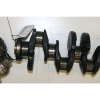 Citroen C3 Crankshaft 