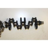 Citroen C3 Crankshaft 