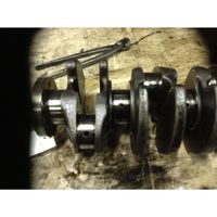 Ford Fusion Crankshaft 