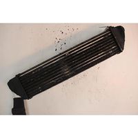 Land Rover Freelander Radiatore intercooler 