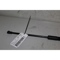 Volvo C30 Rear window strut damper 