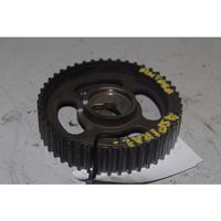 Opel Antara Camshaft pulley/ VANOS 