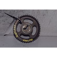 Opel Antara Camshaft pulley/ VANOS 