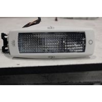Skoda Fabia Mk3 (NJ) Headlining lighting console trim 