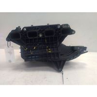 Volkswagen Eos Intake manifold 