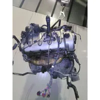 Porsche Cayenne (9PA) Motor 