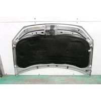 Volkswagen Polo IV 9N3 Engine bonnet/hood 