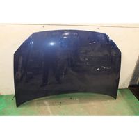 Volkswagen Polo IV 9N3 Engine bonnet/hood 