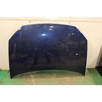 Volkswagen Polo IV 9N3 Engine bonnet/hood 