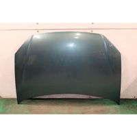 Volkswagen Polo IV 9N3 Engine bonnet/hood 