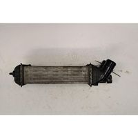 Citroen C3 Picasso Radiatore intercooler 