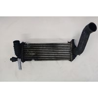 Renault Kangoo II Intercooler radiator 