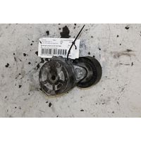 Land Rover Freelander 2 - LR2 Napinacz paska alternatora 