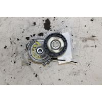 Land Rover Freelander 2 - LR2 Napinacz paska alternatora 