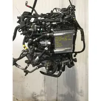 Fiat Tipo Engine 