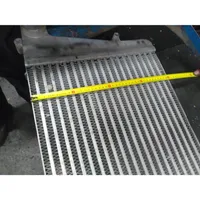 Nissan Atleon Chłodnica powietrza doładowującego / Intercooler 