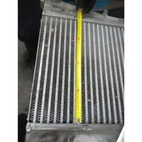 Nissan Atleon Chłodnica powietrza doładowującego / Intercooler 