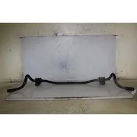 Land Rover Freelander 2 - LR2 Barra stabilizzatrice anteriore/barra antirollio 