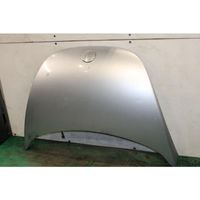 Volkswagen New Beetle Engine bonnet/hood 