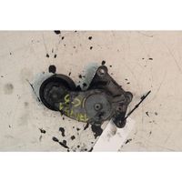 Citroen C3 Picasso Napinacz paska alternatora 