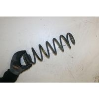 Volkswagen Polo IV 9N3 Rear coil spring 