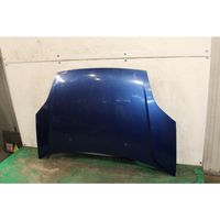 Ford Fiesta Motorhaube 