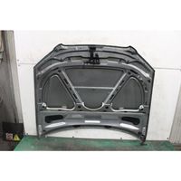 Audi A4 S4 B7 8E 8H Engine bonnet/hood 