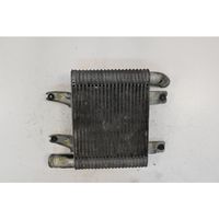 Hyundai Terracan Radiatore intercooler 