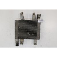 Hyundai Terracan Chłodnica powietrza doładowującego / Intercooler 