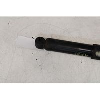 Hyundai Terracan Front shock absorber/damper 