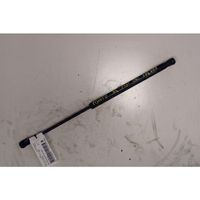 Fiat Punto (188) Rear window strut damper 